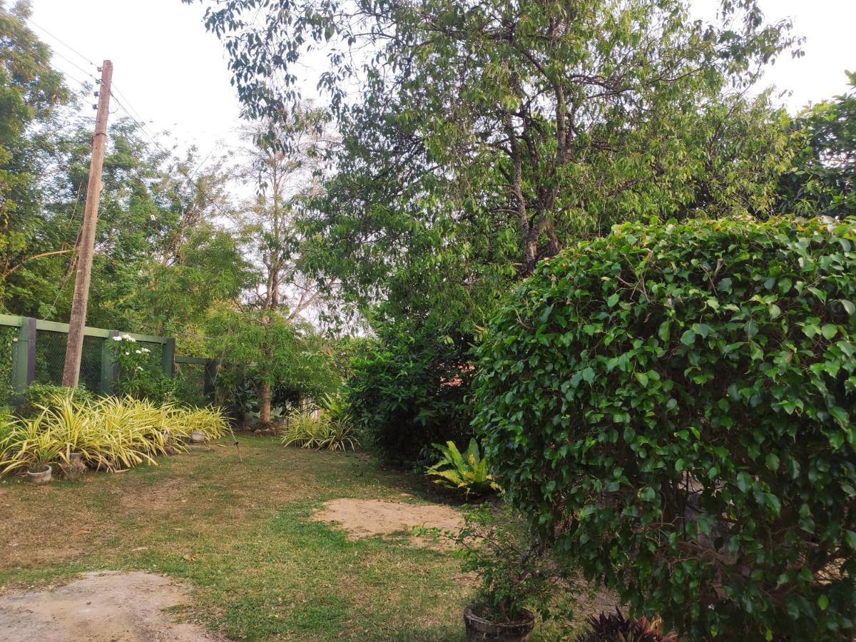Bird House Homestays Tangalle Εξωτερικό φωτογραφία