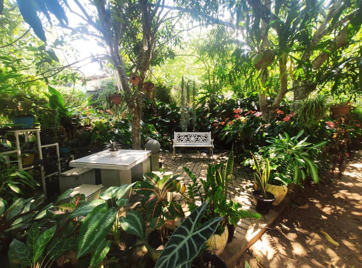 Bird House Homestays Tangalle Εξωτερικό φωτογραφία