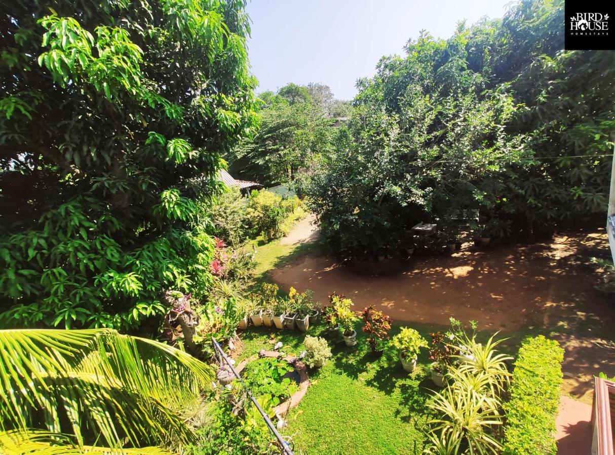 Bird House Homestays Tangalle Εξωτερικό φωτογραφία